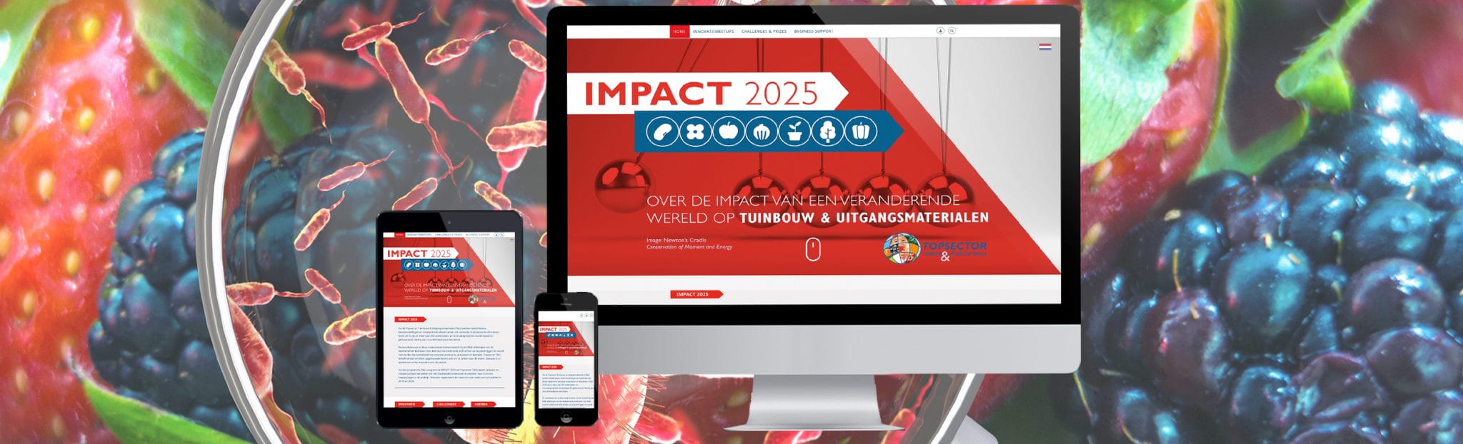 Impact 2025 Website ReMarkAble communicatie