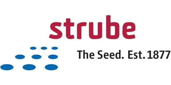 Strube Portfolio Logo